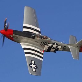 P-51 Red Nose