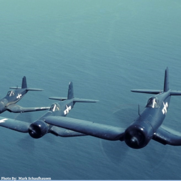 Landscape_profile_baabaa_blacksheep-5