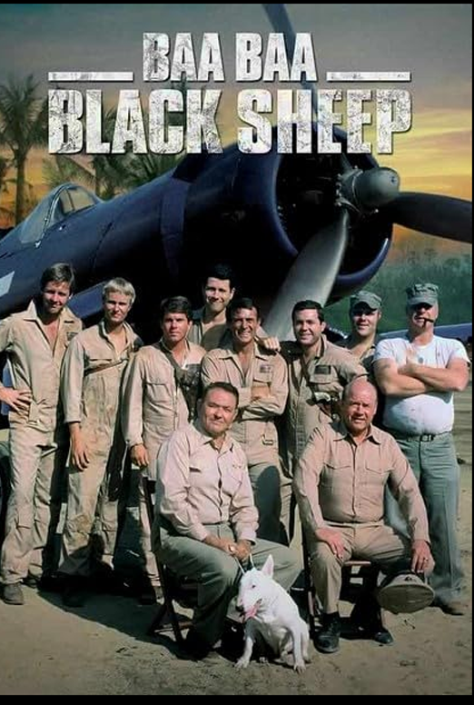 Baa Baa Black Sheep Show Poster